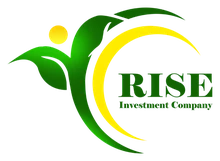RISE Investment Company logo